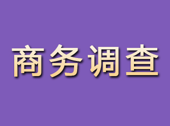 瑶海商务调查